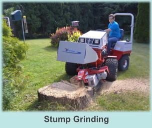 Stump Grinding